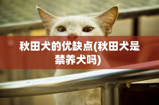 秋田犬的優缺點(秋田犬是禁養犬嗎) 