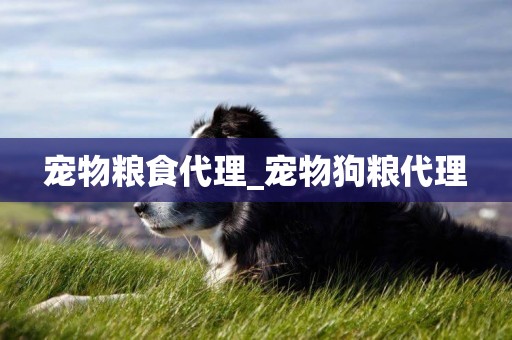 寵物糧食代理_寵物狗糧代理