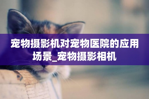 寵物攝影機對寵物醫院的應用場景_寵物攝影相機