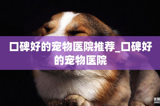 口碑好的寵物醫院推薦_口碑好的寵物醫院