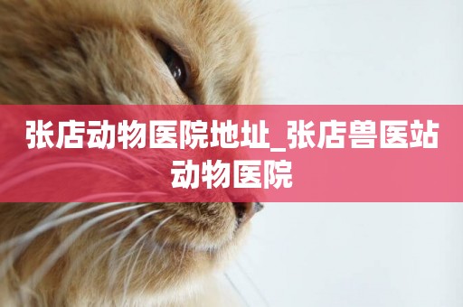 張店動物醫院地址_張店獸醫站動物醫院