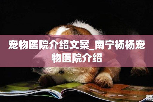 寵物醫院介紹文案_南寧楊楊寵物醫院介紹
