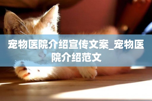 寵物醫院介紹宣傳文案_寵物醫院介紹范文