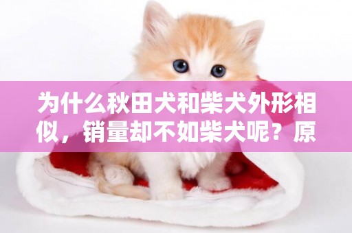 為什么秋田犬和柴犬外形相似，銷量卻不如柴犬呢？原因有5個 