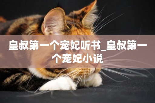 皇叔第一個寵妃聽書_皇叔第一個寵妃小說