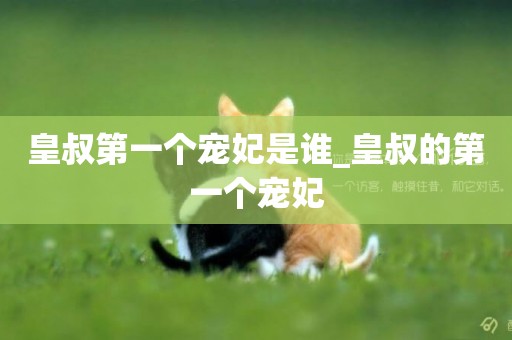 皇叔第一個寵妃是誰_皇叔的第一個寵妃