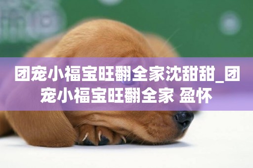 團寵小福寶旺翻全家沈甜甜_團寵小福寶旺翻全家 盈懷