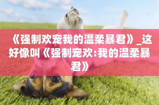 《強制歡寵我的溫柔暴君》_這好像叫《強制寵歡:我的溫柔暴君》