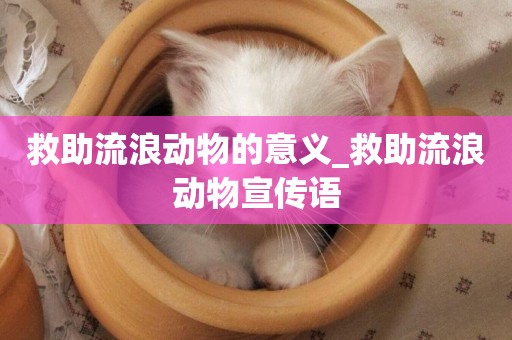 救助流浪動物的意義_救助流浪動物宣傳語