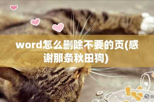 word怎么刪除不要的頁(感謝那條秋田狗) 