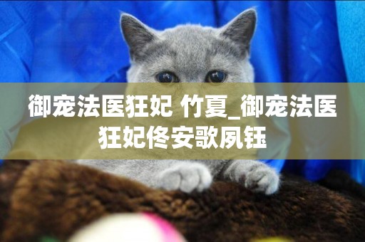 御寵法醫狂妃 竹夏_御寵法醫狂妃佟安歌夙鈺