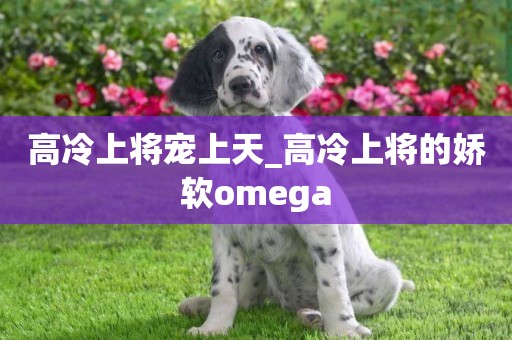 高冷上將寵上天_高冷上將的嬌軟omega
