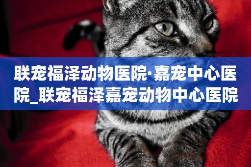 聯寵福澤動物醫院·嘉寵中心醫院_聯寵福澤嘉寵動物中心醫院