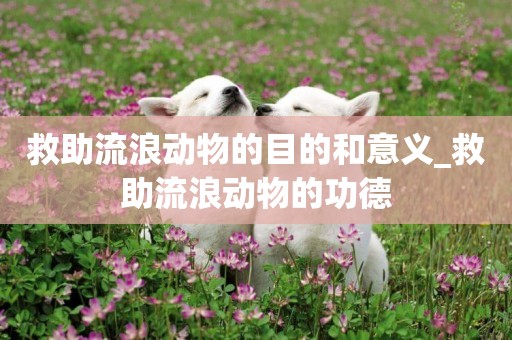 救助流浪動物的目的和意義_救助流浪動物的功德