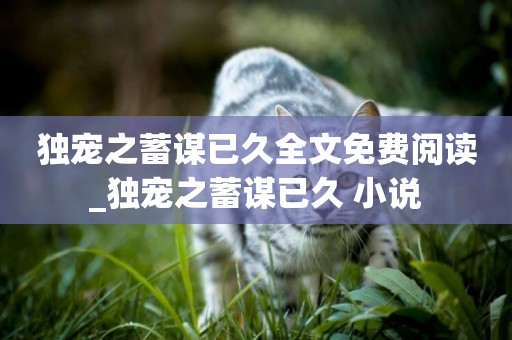 獨寵之蓄謀已久全文免費閱讀_獨寵之蓄謀已久 小說