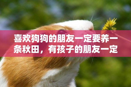 喜歡狗狗的朋友一定要養一條秋田，有孩子的朋友一定不要錯過秋田 