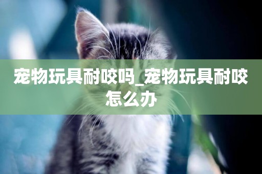 寵物玩具耐咬嗎_寵物玩具耐咬怎么辦
