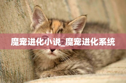 魔寵進化小說_魔寵進化系統
