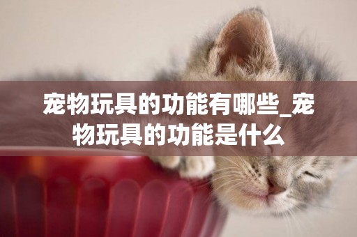 寵物玩具的功能有哪些_寵物玩具的功能是什么