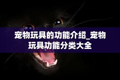 寵物玩具的功能介紹_寵物玩具功能分類大全
