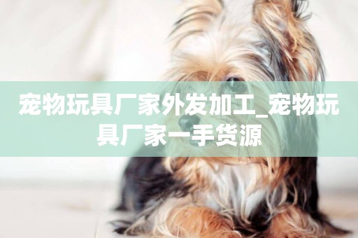 寵物玩具廠家外發加工_寵物玩具廠家一手貨源