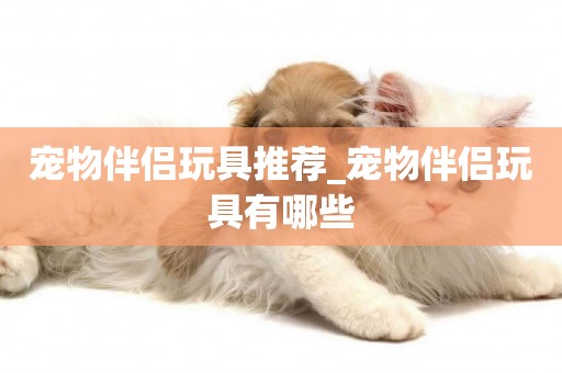 寵物伴侶玩具推薦_寵物伴侶玩具有哪些