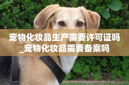 寵物化妝品生產需要許可證嗎_寵物化妝品需要備案嗎