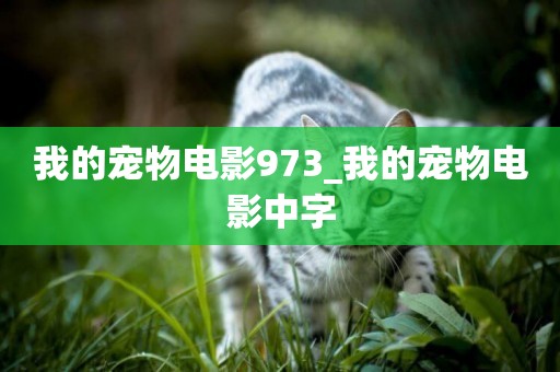 我的寵物電影973_我的寵物電影中字