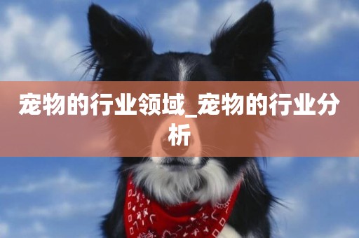 寵物的行業領域_寵物的行業分析