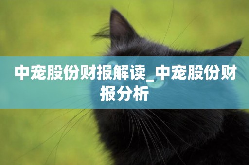 中寵股份財報解讀_中寵股份財報分析