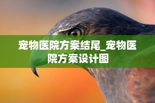寵物醫院方案結尾_寵物醫院方案設計圖