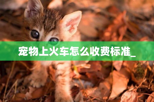 寵物上火車怎么收費標準_