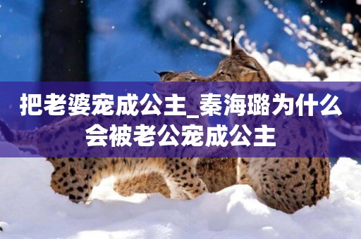 把老婆寵成公主_秦海璐為什么會被老公寵成公主