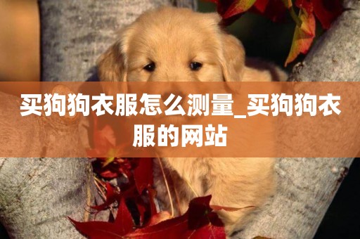 買狗狗衣服怎么測量_買狗狗衣服的網站