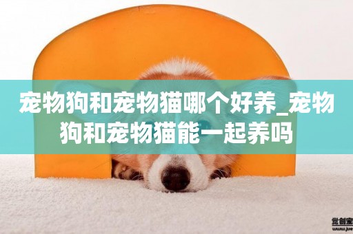 寵物狗和寵物貓哪個好養_寵物狗和寵物貓能一起養嗎