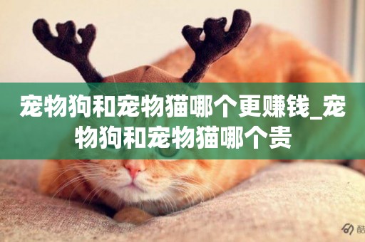寵物狗和寵物貓哪個更賺錢_寵物狗和寵物貓哪個貴