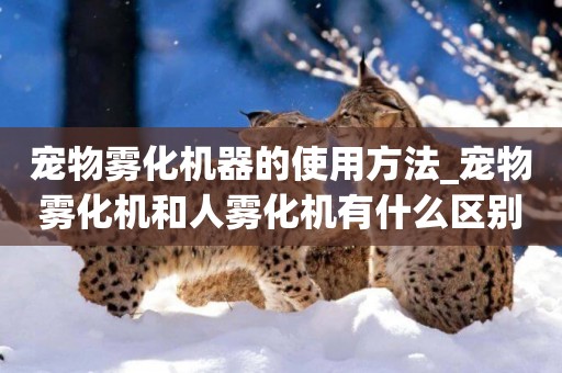 寵物霧化機器的使用方法_寵物霧化機和人霧化機有什么區別