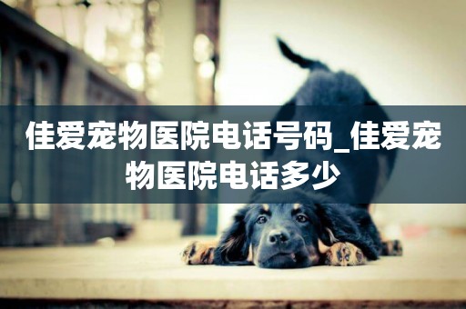 佳愛寵物醫院電話號碼_佳愛寵物醫院電話多少