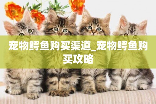 寵物鱷魚購買渠道_寵物鱷魚購買攻略