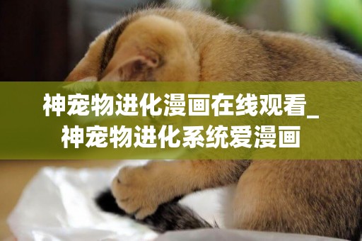 神寵物進化漫畫在線觀看_神寵物進化系統愛漫畫