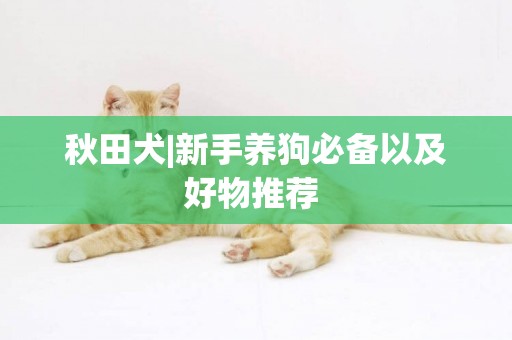 秋田犬|新手養狗必備以及好物推薦 