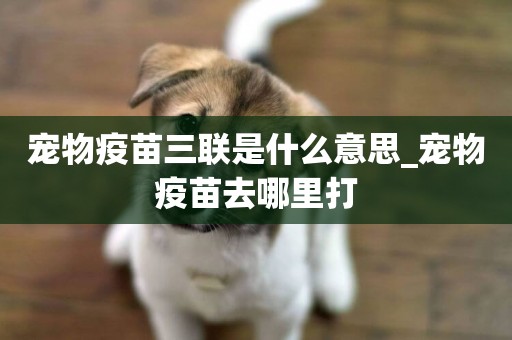 寵物疫苗三聯是什么意思_寵物疫苗去哪里打
