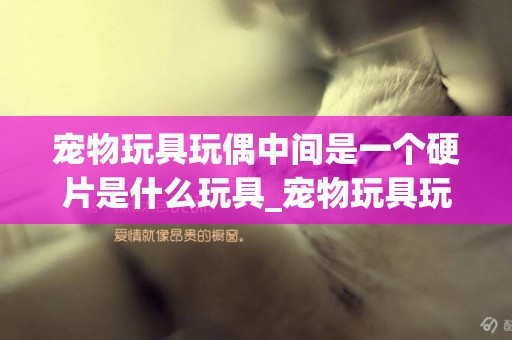 寵物玩具玩偶中間是一個硬片是什么玩具_寵物玩具玩偶圖片