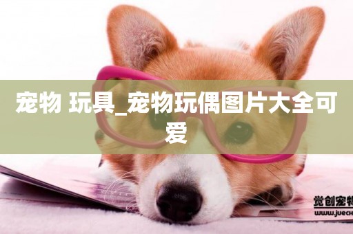 寵物 玩具_寵物玩偶圖片大全可愛