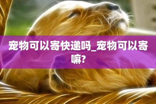 寵物可以寄快遞嗎_寵物可以寄嘛?