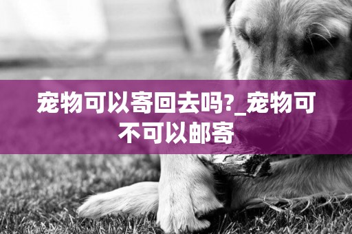 寵物可以寄回去嗎?_寵物可不可以郵寄