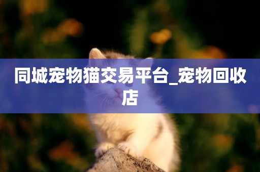 同城寵物貓交易平臺_寵物回收店