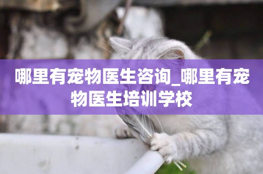 哪里有寵物醫生咨詢_哪里有寵物醫生培訓學校