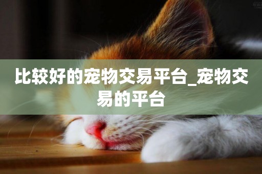 比較好的寵物交易平臺_寵物交易的平臺
