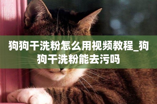 狗狗干洗粉怎么用視頻教程_狗狗干洗粉能去污嗎